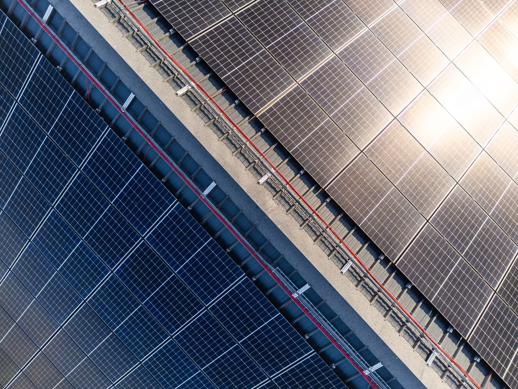 Project detail