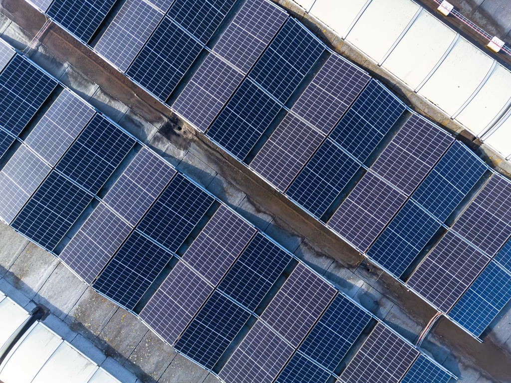 Project detail